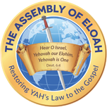 The Assembly of Eloah