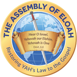 Blog - The Assembly of Eloah