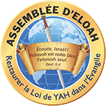 The Assembly of Eloah